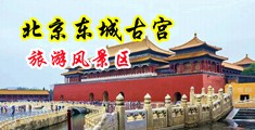 少妇小逼逼中国北京-东城古宫旅游风景区